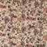 Printed Pashmina-F2154